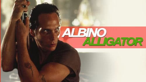 Albino Alligator Bild 4