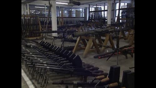 Network First Bild 1