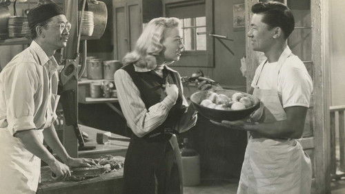 Web of Danger Bild 1