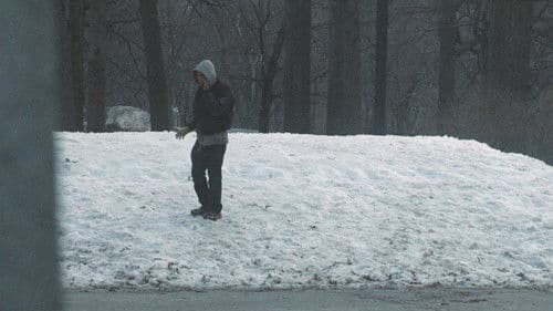 Mad Love in New York Bild 7