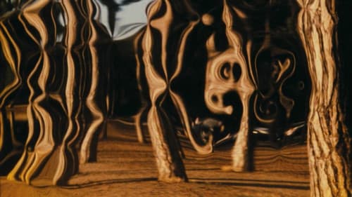 Au bord du lac Bild 3