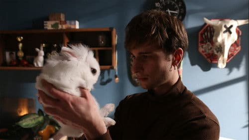 Війна очима тварин Bild 4