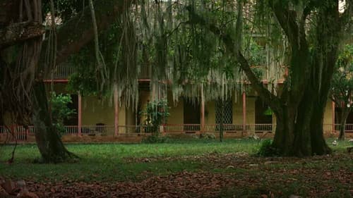 La mansión de Araucaima Bild 2