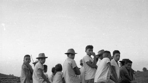 Maioria absoluta Bild 1