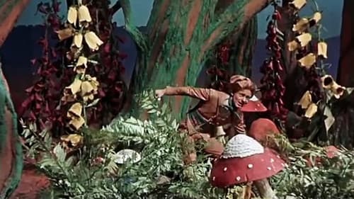 Das tapfere Schneiderlein Bild 1