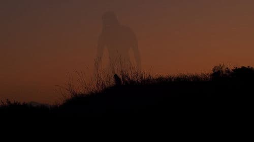 A World Softly Lulls Bild 1