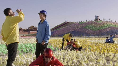 Dream Delivery Bild 1