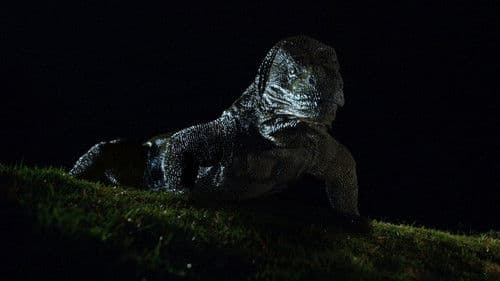 Komodo - The Living Terror Bild 1