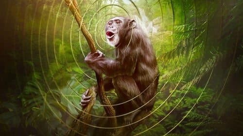 Die Sprache der Erde Bild 1