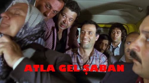 Atla Gel Şaban Bild 5