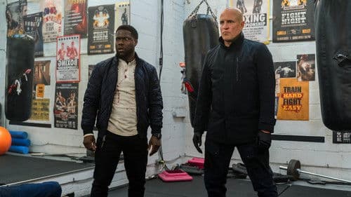 The Man from Toronto Bild 3