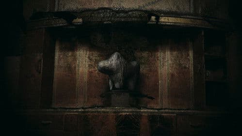 BLKNWS: Terms & Conditions Bild 2