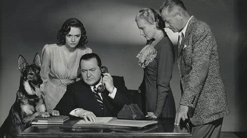 Die Spur im Dunkel Bild 1