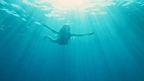 Der Sommer, als ich fliegen lernte Bild 1