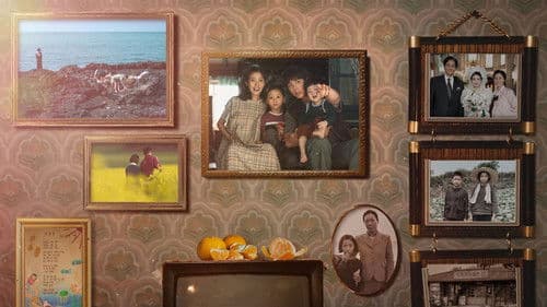 When Life Gives You Tangerines Bild 4