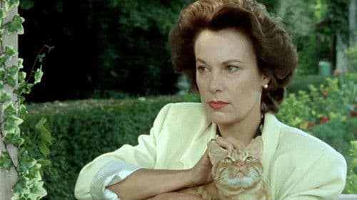 Papa les petits Bateaux… Bild 3