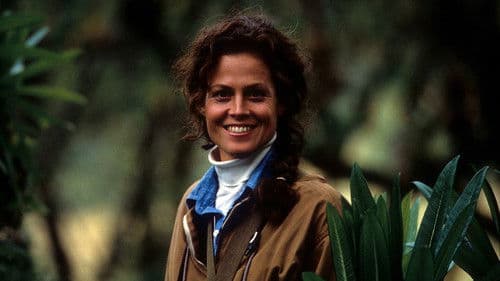 Gorillas im Nebel Bild 2