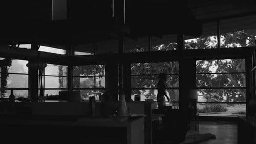 Malcolm & Marie Bild 8