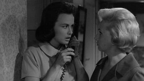 Die seltsame Gräfin Bild 2