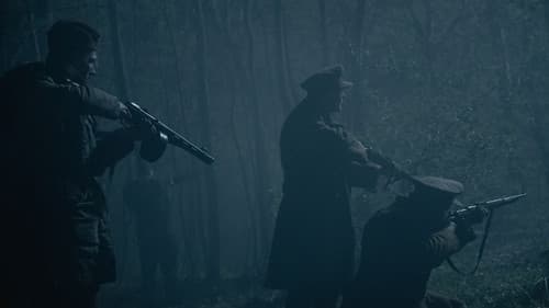 Král Šumavy Bild 1