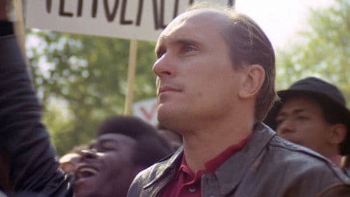 Wie ein Panther in der Nacht Bild 4