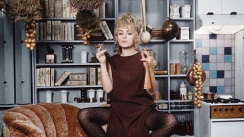 Vražda ing. Čerta Bild 5