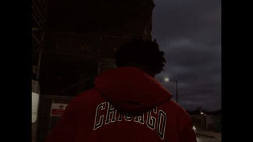 Angry Ladybug Bild 1