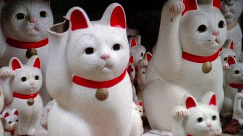 Sans Soleil – Unsichtbare Sonne Bild 7