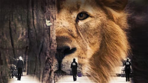 London Zoo: An Extraordinary Year Bild 3