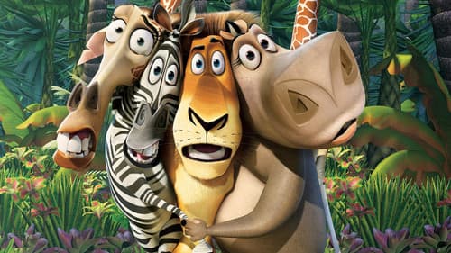Madagascar Bild 8