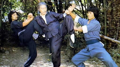 識英雄重英雄 Bild 1