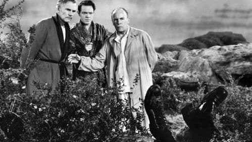 Das letzte Wochenende Bild 2