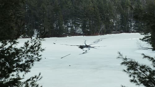 Radiant Frost Bild 2