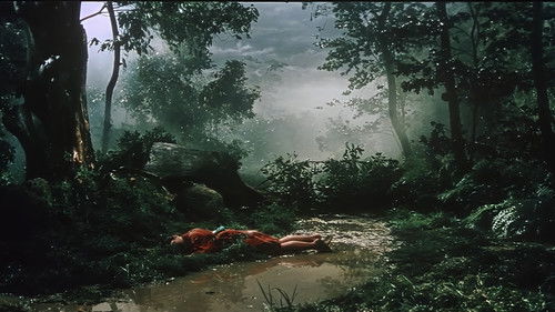 Die blinde schwertschwingende Frau Bild 8