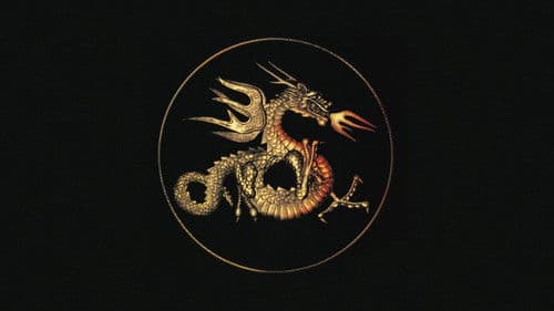 Kiss of the Dragon Bild 3