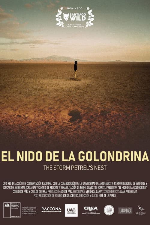 El nido de la golondrina