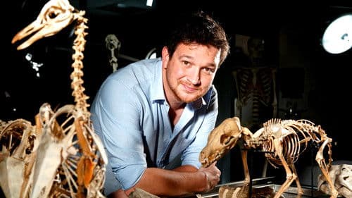 Das Geheimnis der Knochen Bild 1