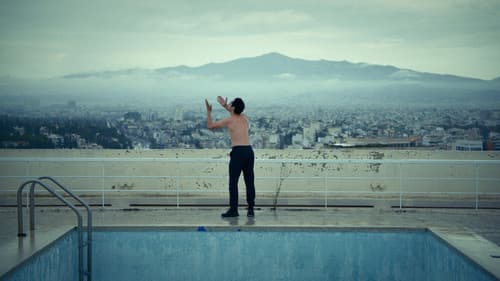 Όρνιθες (ή Πώς να Γίνεις Πουλί) Bild 1