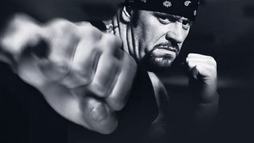 WWE Vengeance 2003 Bild 1