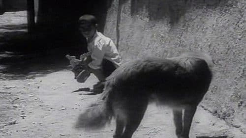 نان و کوچه‎‎ Bild 2