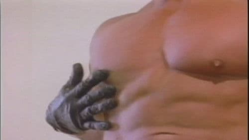 Cowboy Country Bild 8