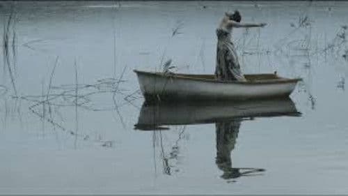 Algunas aves vuelan solas Bild 1