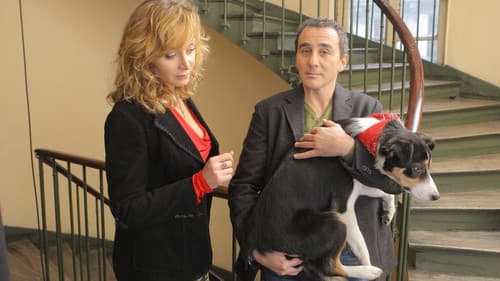 Un divorce de chien Bild 1