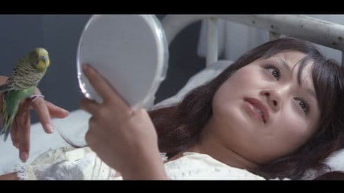 欲情の季節　蜜をぬる１８才 Bild 8