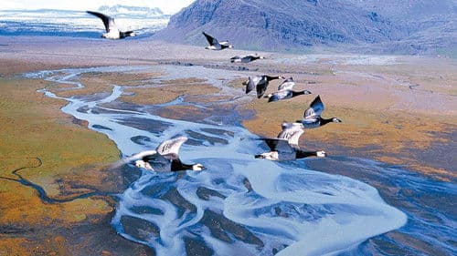 Nomaden der Lüfte Bild 3