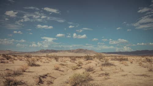 Fame in California Bild 1