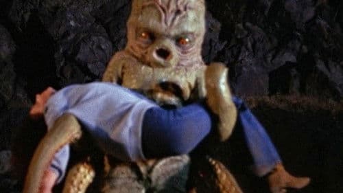 Octaman - Die Bestie aus der Tiefe Bild 2