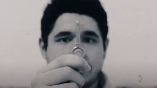 (2) Seres em Transformação Bild 1