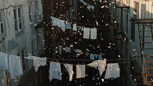 Glaubensfrage Bild 8