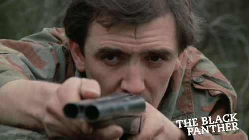 The Black Panther Bild 6